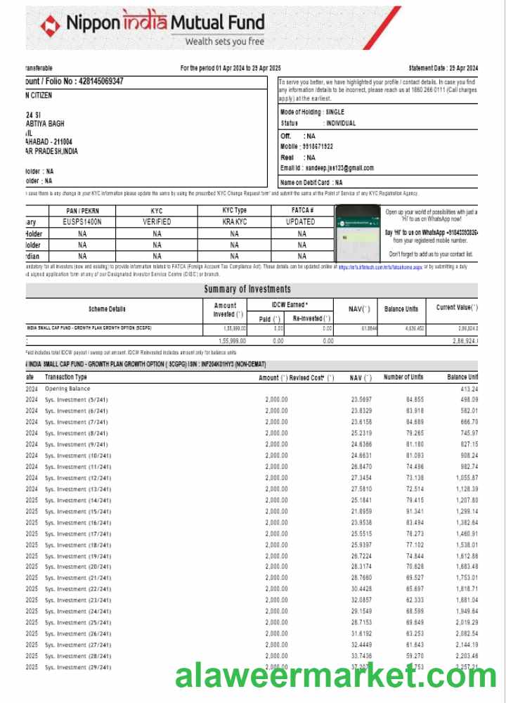INDIA NIPPON bank statement template, Word and PDF format